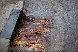 Water running into storm drain