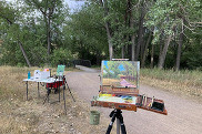 Canvases and paints amidst trees and natural scenery at a plein air painting event