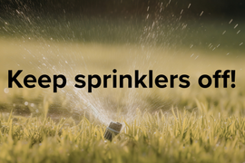 keep sprinklers off