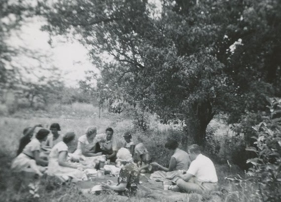 The Bowes family and friends picnicking in an orchard of apple and pear trees
