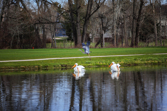 golf course