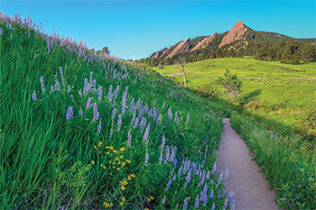 Chautauqua trail 
