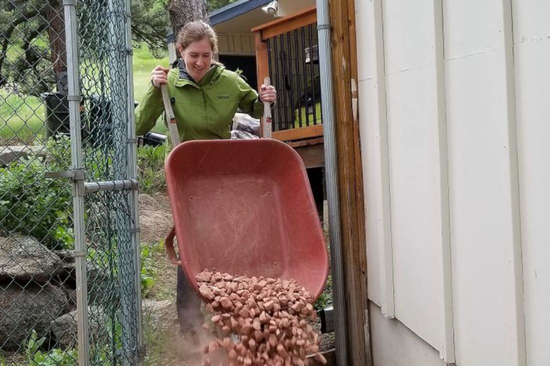person happily dumping gravel around their home