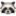 🦝