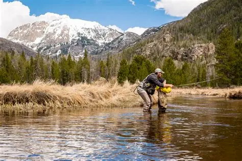 Angler