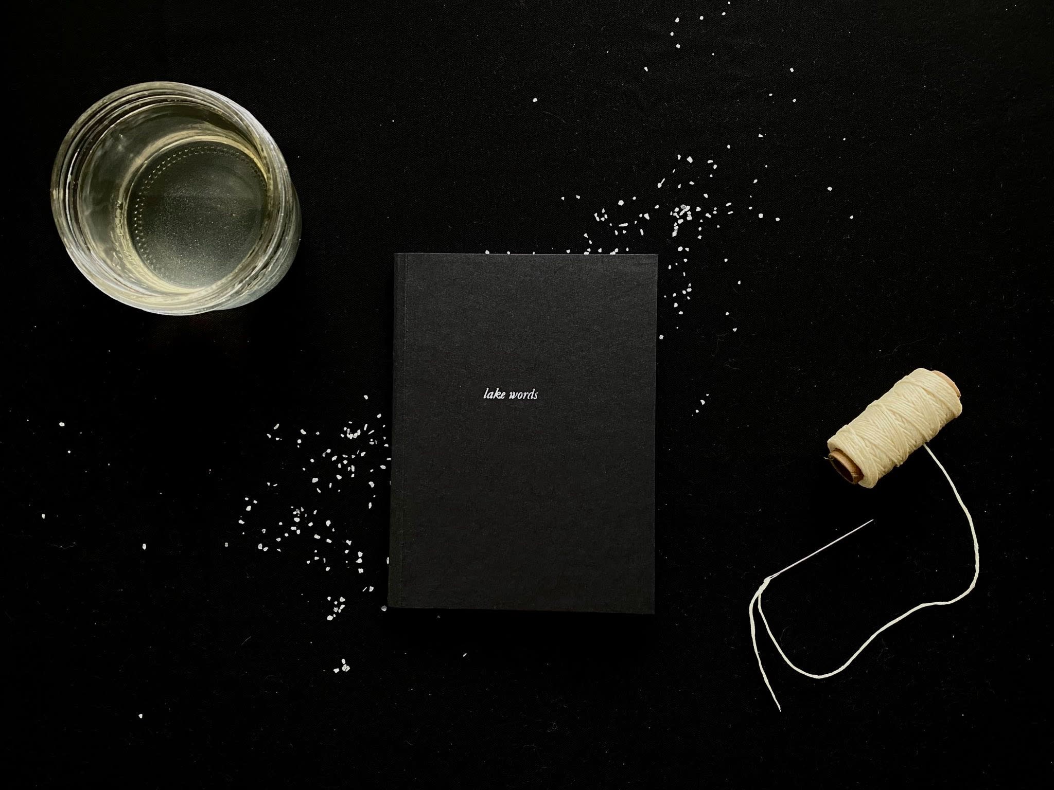 Lake Words Zine Picture