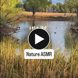 Nature ASMR