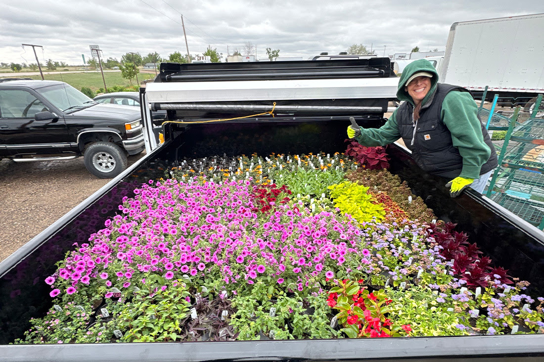 Pollinator Week is here! - default - Louisville Chamber of Commerce - CO