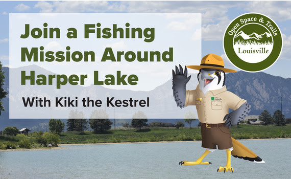 Join a fishing mission with Kiki the Kestrel