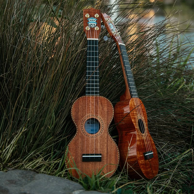 Kala Ukulele Canada | Kala Brand Music Ukeleles