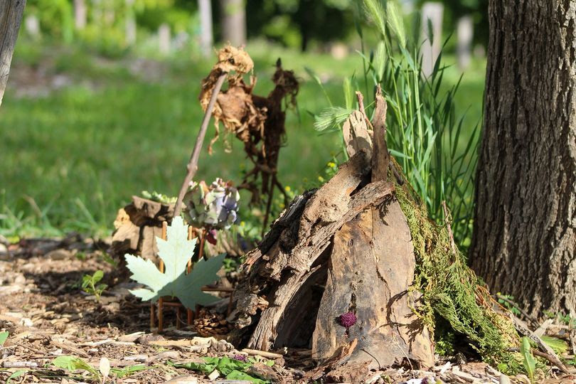 Photo of Fairy House Walk at Louisville Arboretum