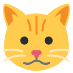 🐱
