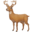 🦌