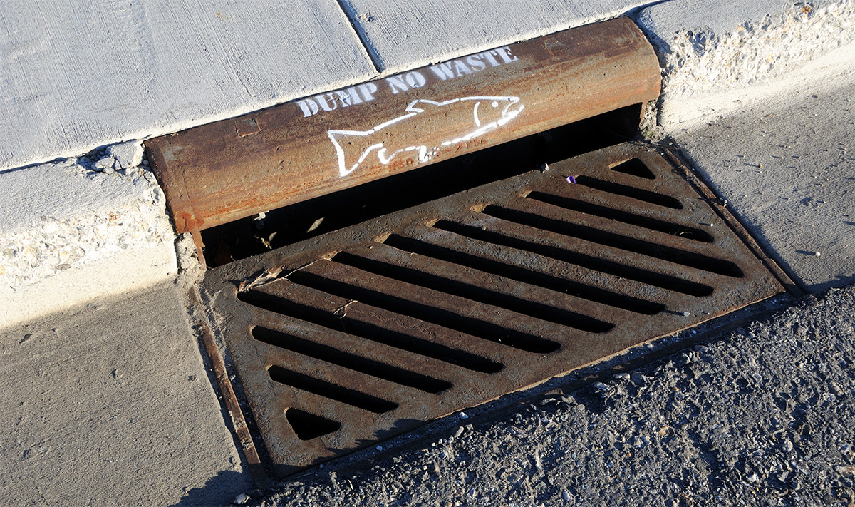 A storm drain in a curb has an outline of a fish spray painted on the top of the drain. The train has the words Dump No Waste also painted on
