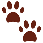🐾