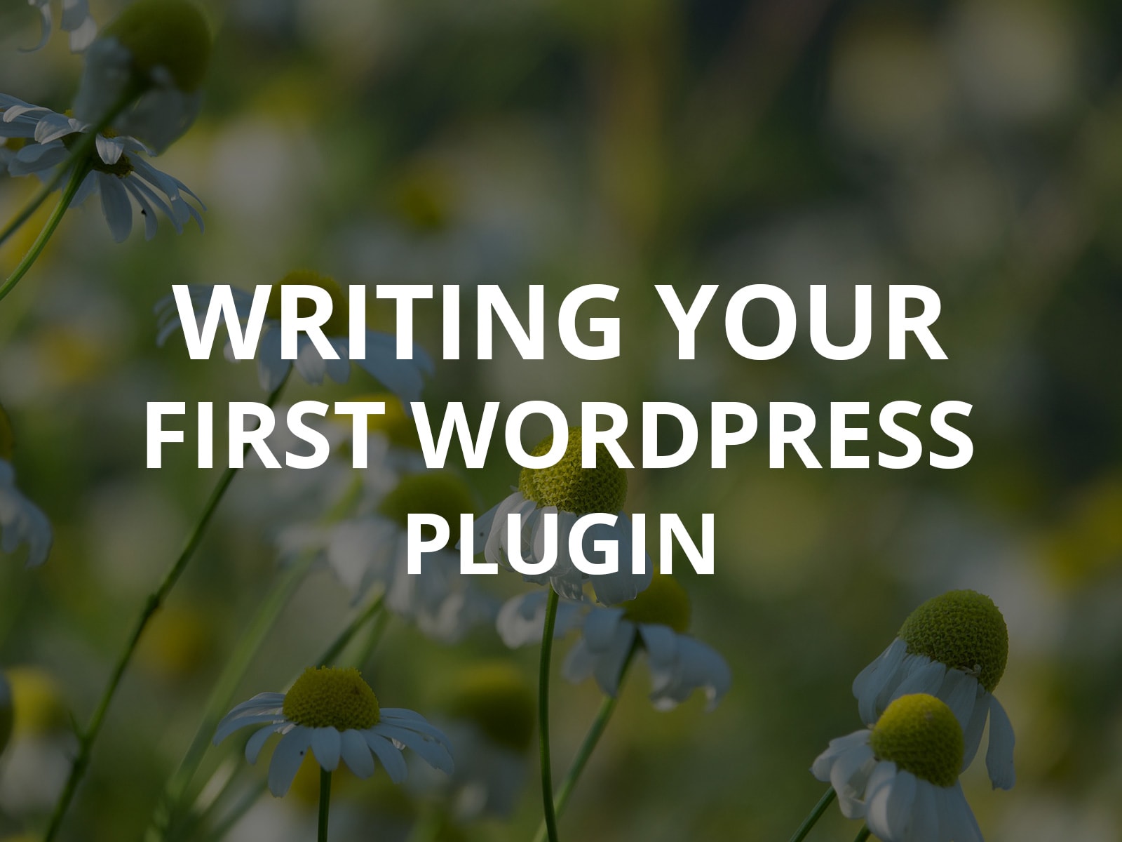 write plugins in xojo write plugins in xojo