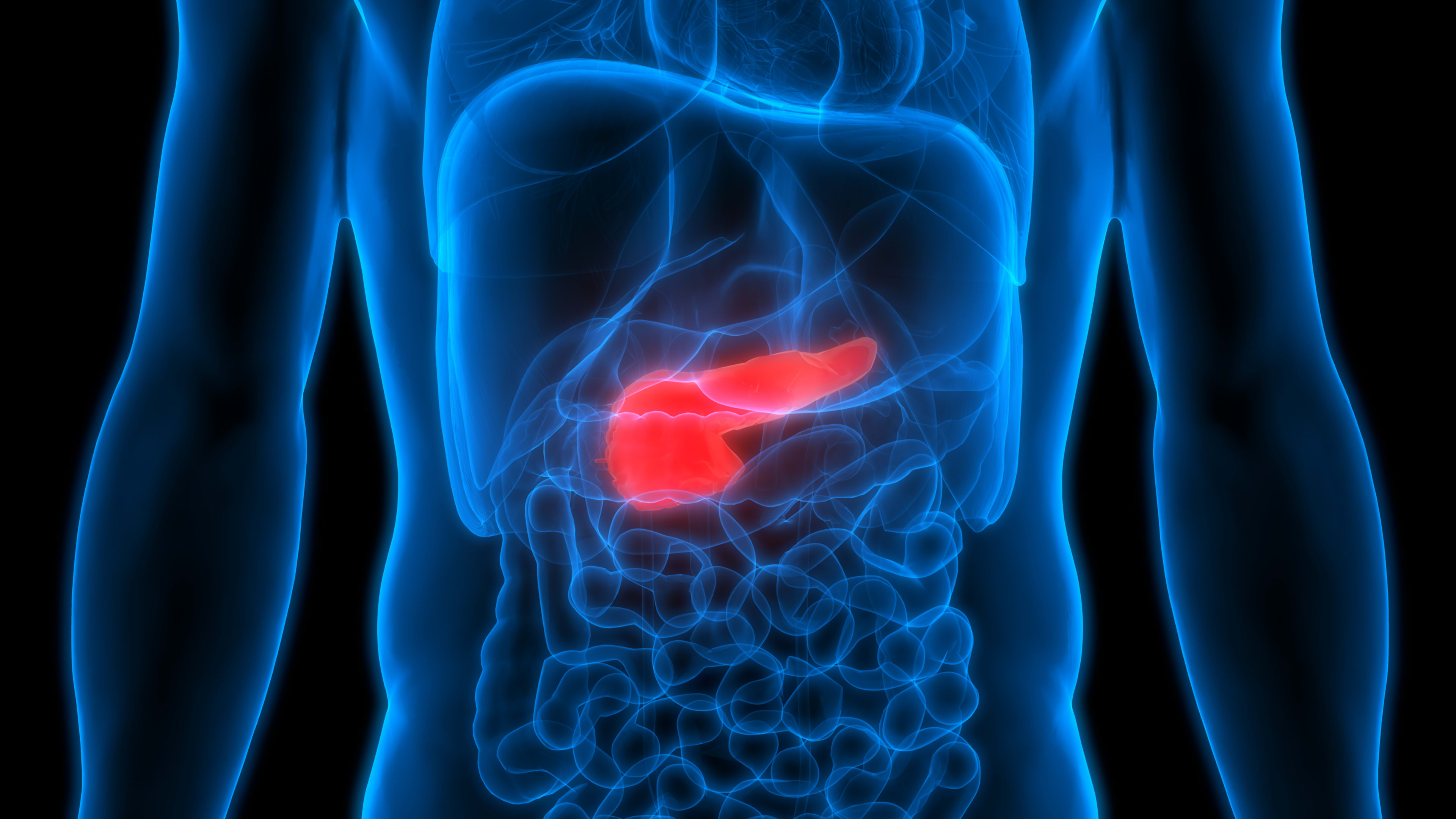 The pancreas is located in the abdomen.