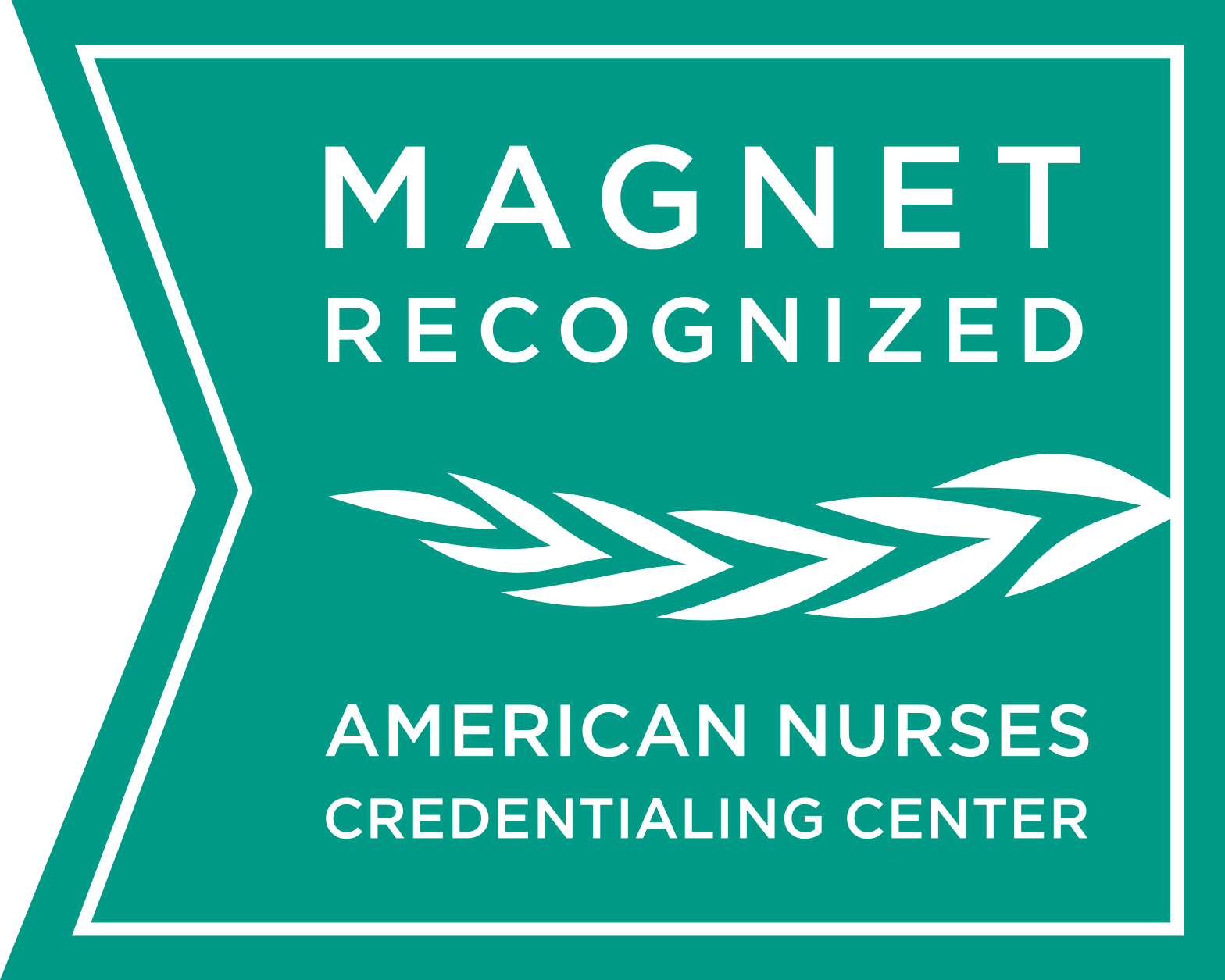 Magnet Logo