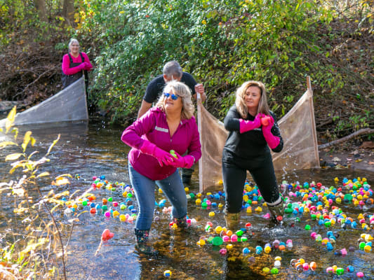 Duck race