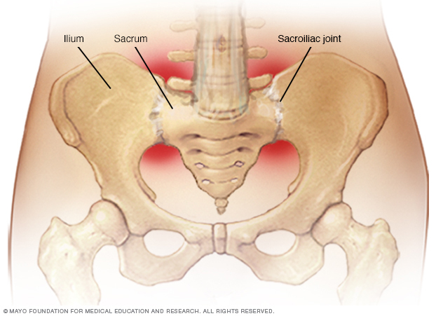 Sacroiliac joints 