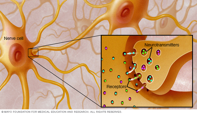 Receptores de neurotransmisores 