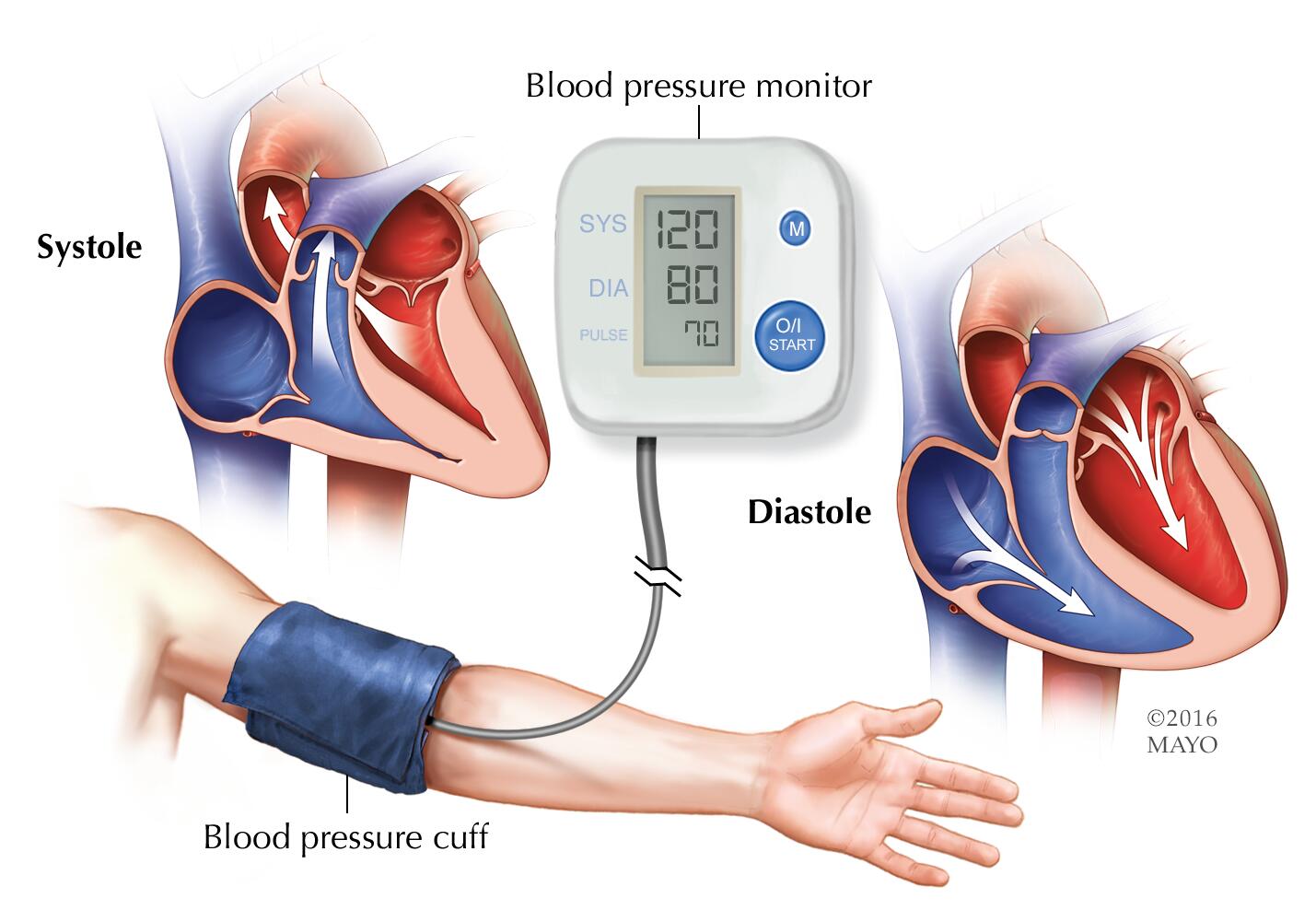 Medición de la presión arterial