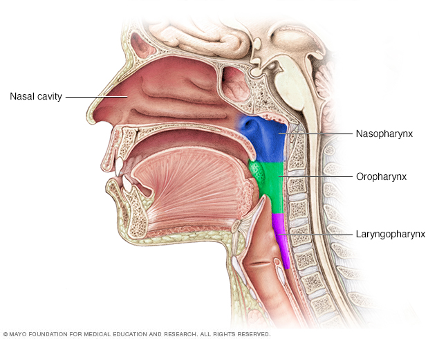 Nasopharyngeal Carcinoma Middlesex Health
