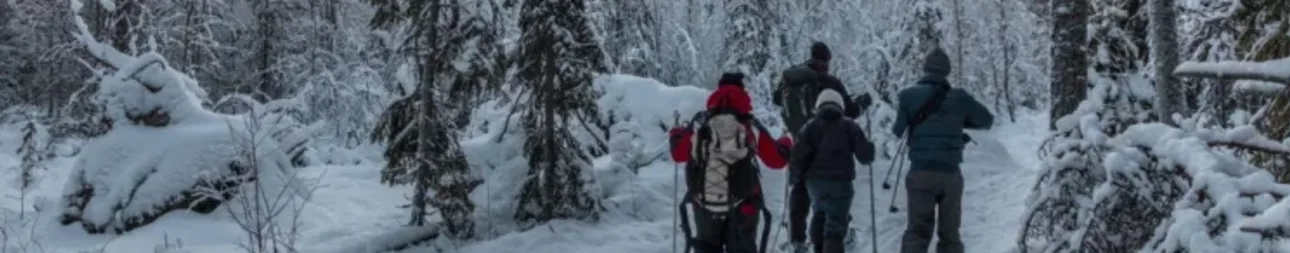 Reisebild: Aktive Winterwoche in Saija
