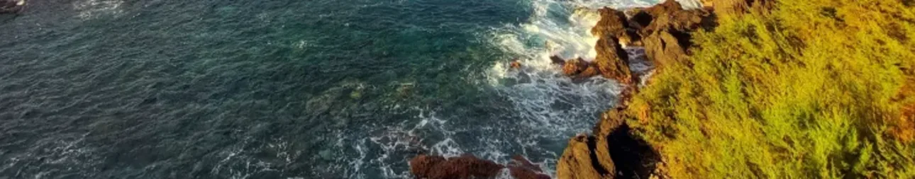 Reisebild: Madeira slow – Genusswandern am Atlantik