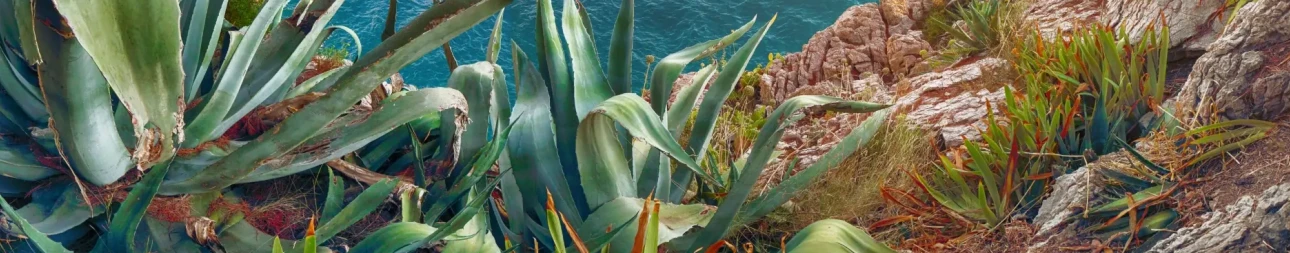 Reisebild: Kroatien mit der Motoryacht erleben - Südroute