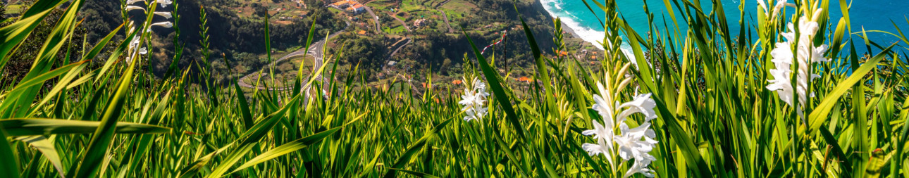 Reisebild: SPD-Jahresauftakt 2027 auf Madeira
