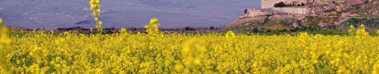 Reisebild: Armenien – Jenseits des Ararats