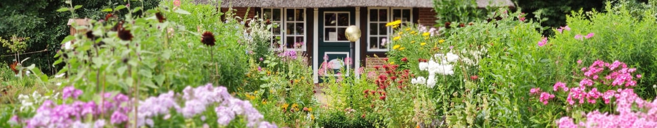 Reisebild: Busreise Premium-Gartenreise in den Norden Deutschlands