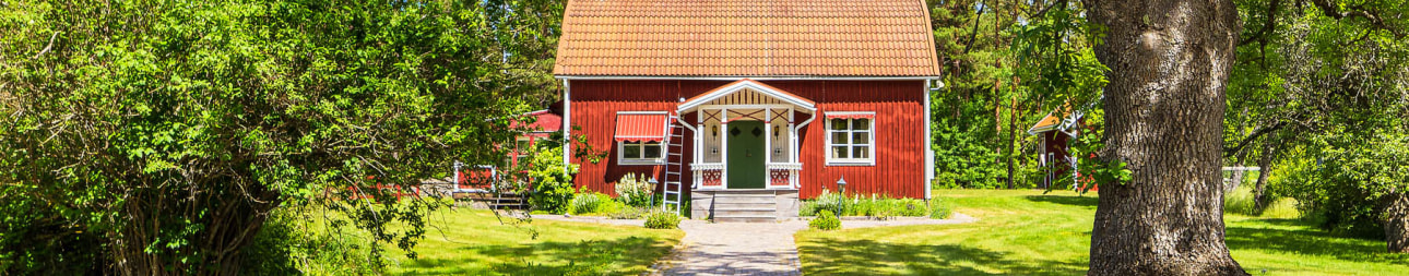 Reisebild: Busreise Kühler Sommerurlaub in Schweden