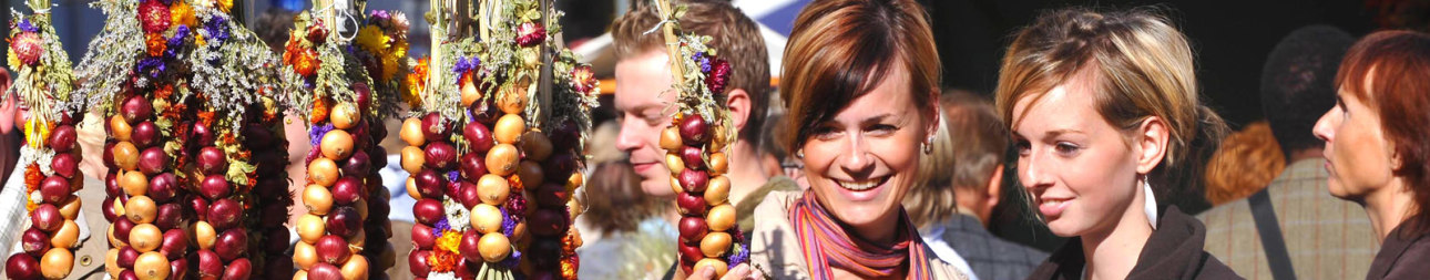 Reisebild: Tagesfahrt Weimarer Zwiebelmarkt