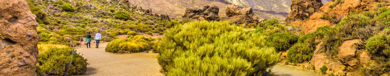 Reisebild: Flugreise Vulkane & Feuerwerk - Silvester auf Teneriffa