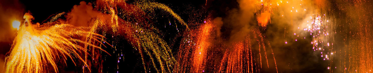 Reisebild: Busreise Silvester in der Elbflorenz Dresden