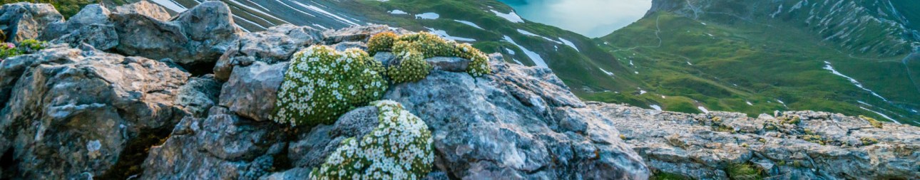 Reisebild: Wanderparadies Montafon