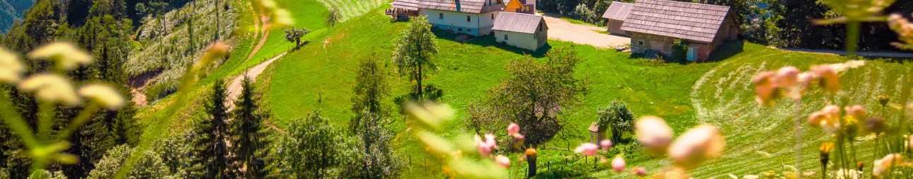 Reisebild: Busreise Juwel Slowenien inmitten Europas