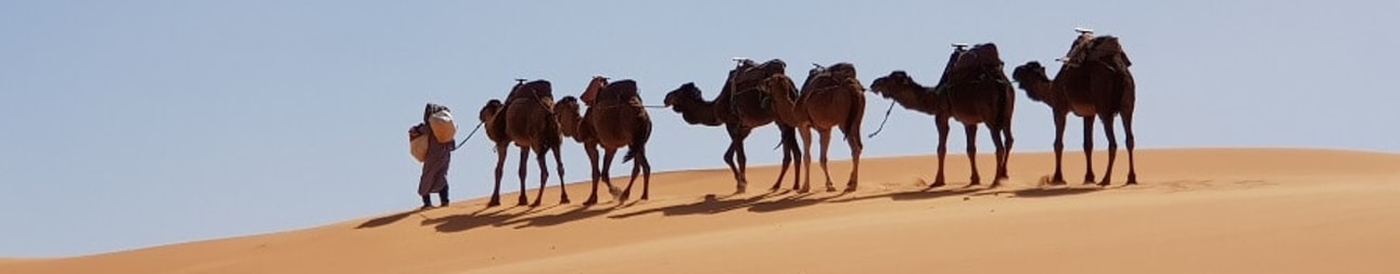 Reisebild: Rundreise Marokko kennenlernen