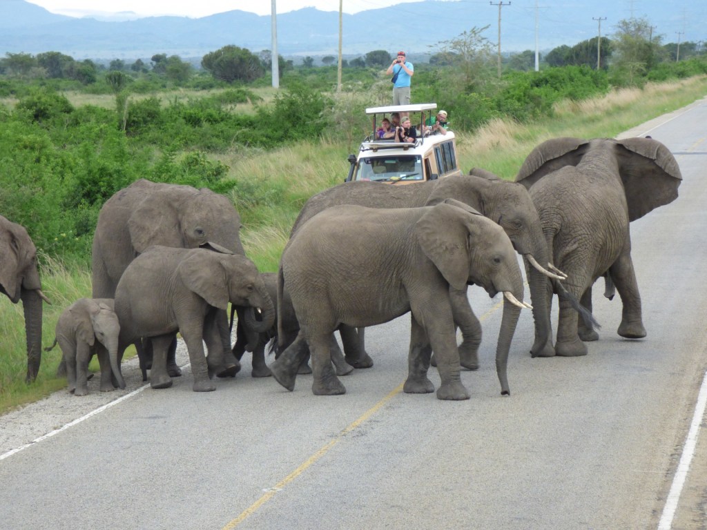 grosse uganda rundreise meine husky reisen