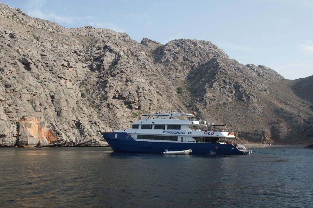 Oman Tauchsafari Highlight Of The Year 2021 Reisecenter Federsee