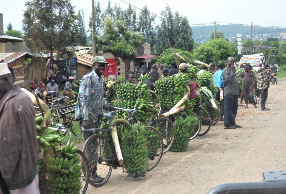 Ankunft in Entebbe/ Uganda