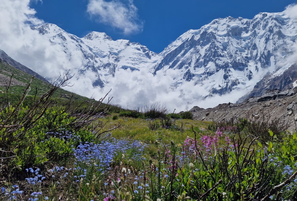 Tagesausflug zum Diamir Base Camp (ca. 4.260 m) & Rückkehr nach Kutgali
