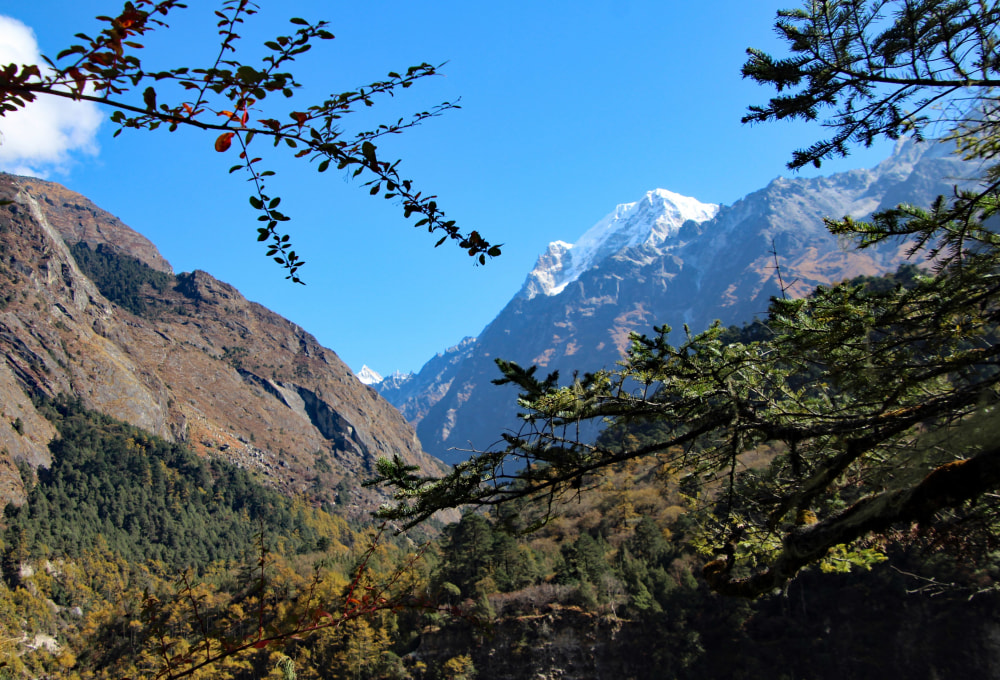 Überschreitung der 3.000 m - Marke nach Ghunsa (3.475 m)