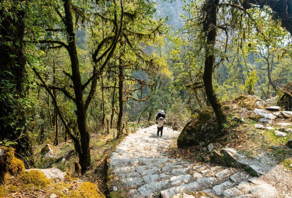 Fahrt nach Nayapul & Start Ihres Trekkings bis Ulleri (2.010 m)