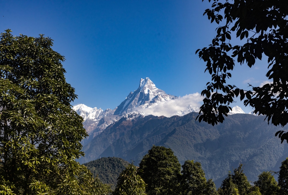 Aufstieg zum Poon Hill (3.210 m) & Wanderung nach Tadapani (2.630 m)