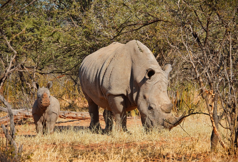 Waterberg Plateau Nationalpark