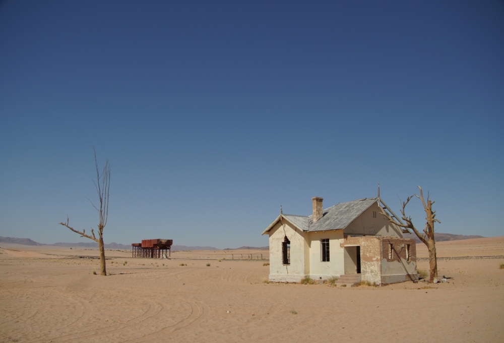 Die Wildpferde von Garub