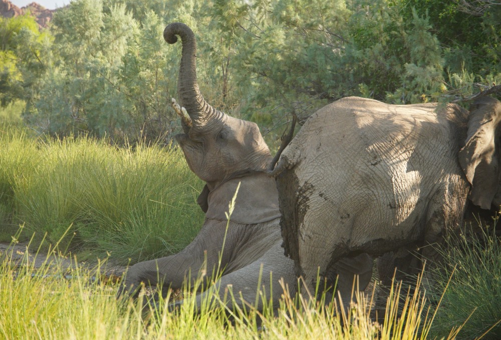 Twyfelfontein und Brandberg im Damaraland
